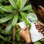 biologist forest