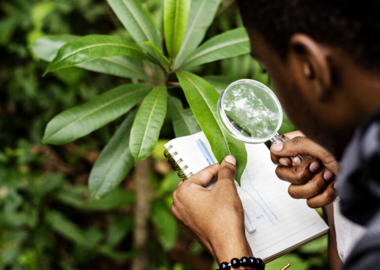 biologist forest