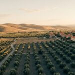 Anadolu kırsalında zeytin ağacı parselleri ve terracotta çatılı taş köy evleri, golden hour ışığında — rayiç bedel itirazları, 5403 sayılı Toprak Koruma ve Arazi Kullanımı Kanunu ve gayrimenkul üzerindeki idari yaptırımları temsili olarak yansıtıyor