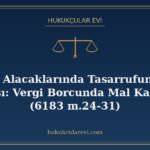 Amme Alacaklarında Tasarrufun İptali Davası: Vergi Borcunda