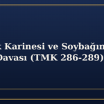 Babalık Karinesi ve Soybağının Reddi Davası (TMK 286-289)