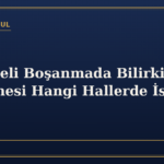Çekişmeli Boşanmada Bilirkişi İncelemesi Hangi Hallerde İstenir?