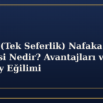 Toptan (Tek Seferlik) Nafaka Ödemesi Nedir? Avantajları ve Yargıtay Eğilimi