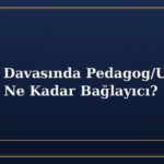 Velayet Davasında Pedagog/Uzman Görüşü Ne Kadar Bağlayıcı?