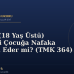 Ergin (18 Yaş Üstü) Engelli Çocuğa Nafaka Devam Eder mi? (TMK 364)