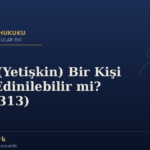 Ergin (Yetişkin) Bir Kişi Evlat Edinilebilir mi? (TMK 313)