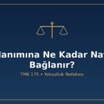 Ev hanımına nafaka ne kadar yoksulluk nafakası TMK 175 ev içi emek ekonomik bağımlılık tedbir nafakası SED