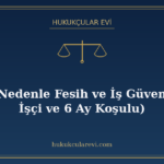 Geçerli Nedenle Fesih ve İş Güvencesi (30 İşçi ve 6 Ay Koşul