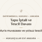 gm tapu kapak