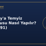 Yargıtaya temyiz başvurusu nasıl yapılır CMK 291