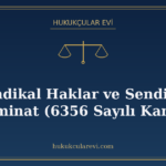 Sendikal Haklar ve Sendikal Tazminat (6356 Sayılı Kanun)