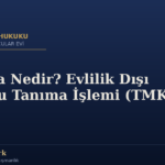 Tanıma Nedir? Evlilik Dışı Çocuğu Tanıma İşlemi (TMK 295)