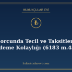 Vergi Borcunda Tecil ve Taksitlendirme: Ödeme Kolaylığı (618