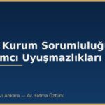 Aracı Kurum Sorumluluğu ve Yatırımcı Uyuşmazlıkları