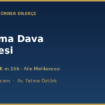 bosanma dava dilekcesi ornegi v2