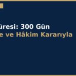 cover 133