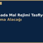 cover 165