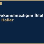 cover 179