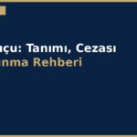cover 193