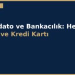 cover 205