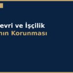 cover 218