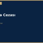 cover 221
