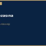 cover 251
