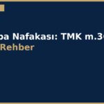 cover 94