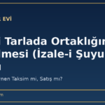 Hisseli Tarlada Ortaklığın Giderilmesi (İzale-i Şuyu) Davası