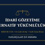 idari gozetim alternatif kapak