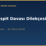 kira tespit dava dilekcesi ornegi