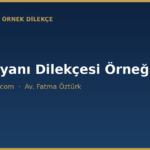 mal beyani dilekcesi ornegi