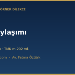 mal paylasimi dava dilekcesi ornegi v2