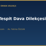 menfi tespit dava dilekcesi ornegi