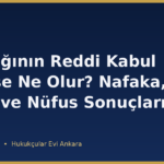 Soybağının Reddi Kabul Edilirse Ne Olur? Nafaka, Miras ve Nüfus Sonuçları