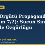 teror orgutu propagandasi 3713 7 2 sucun siniri kapak