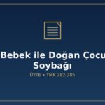 Tüp bebek yardımcı üreme ile doğan çocuğun soybağı nasıl belirlenir ÜYTE evli çift kendi üreme hücreleri donör taşıyıcı annelik yasak koca karinesi TMK 285