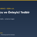 6284 tedbir suresi kapak