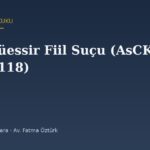 Asta Müessir Fiil Suçu (AsCK m.117-118) ve Nüfuzu Kötüye Kullanma