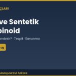 Bonzai (Sentetik Kannabinoid) Suçu: Neden Daha Ağır Cezalandırılır?