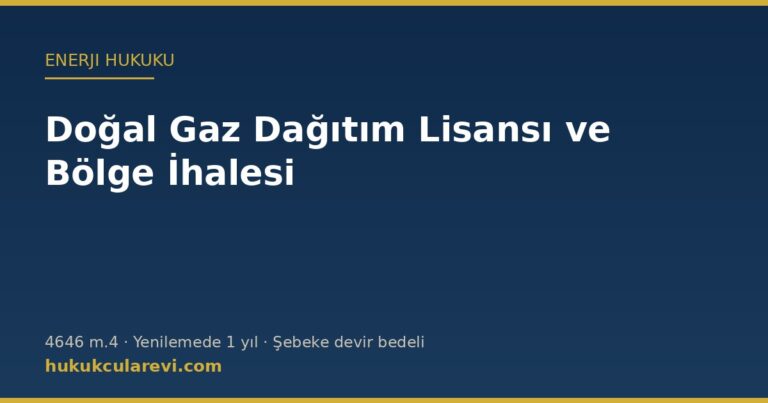 Doğal gaz dağıtım lisansı ve dağıtım bölgesi ihalesi — 4646 sayılı Kanun