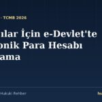 e-Devlet ödeme ve elektronik para kuruluşu hesap sahipliği sorgulama ekranı — mirasçılar için