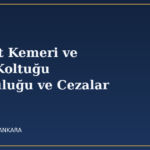 emniyet kemeri cocuk koltugu