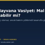 Evcil Hayvana Vasiyet: Kediye veya Köpeğe Mal Bırakılabilir mi?