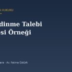 Evlat Edinme Talebi Dilekçesi Örneği (2026) — TMK 305-315