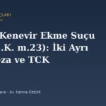 İzinsiz Kenevir Ekme Suçu (2313 s.K. m.23): İki Ayrı Suç, Ceza ve TCK 188 ile Sınır