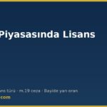Petrol piyasasında lisans türleri — 5015 sayılı Kanun m.3 ve yaptırım rejimi