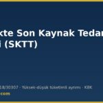 Son kaynak tedarik tarifesi (SKTT) — hesaplama, tüketici grupları ve kapsamdan çıkış