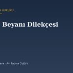 Tanıma Beyanı Dilekçesi Örneği (2026) — TMK 295