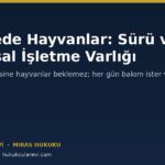 Terekede Hayvanlar: Sürü, Büyükbaş ve Tarımsal İşletme Varlığı